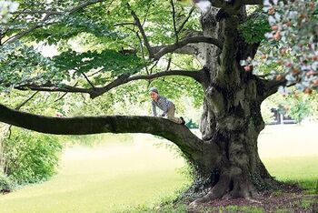FondsGoetheanum: Lasst uns Kind sein