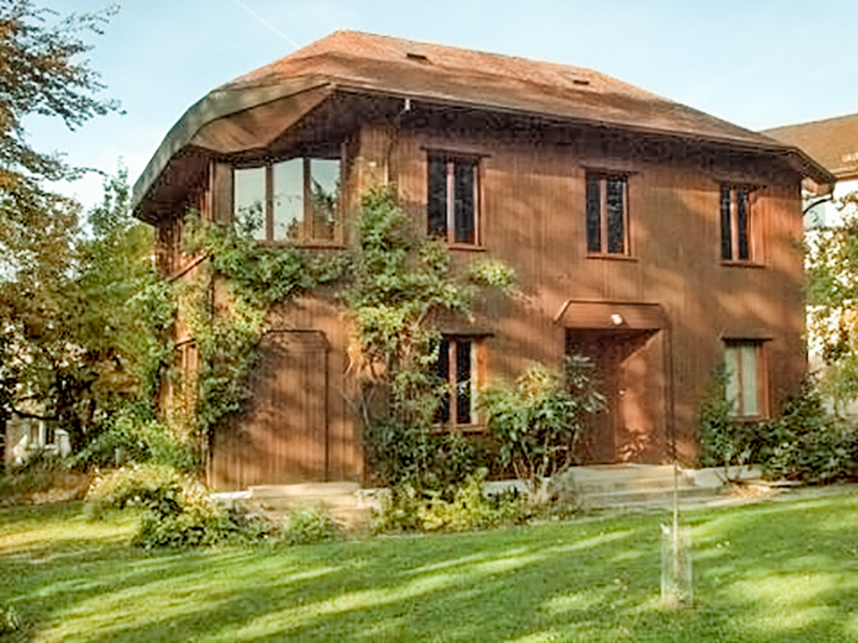 FondsGoetheanum: Die vielfache Wirkung der Mistel bei Krebs